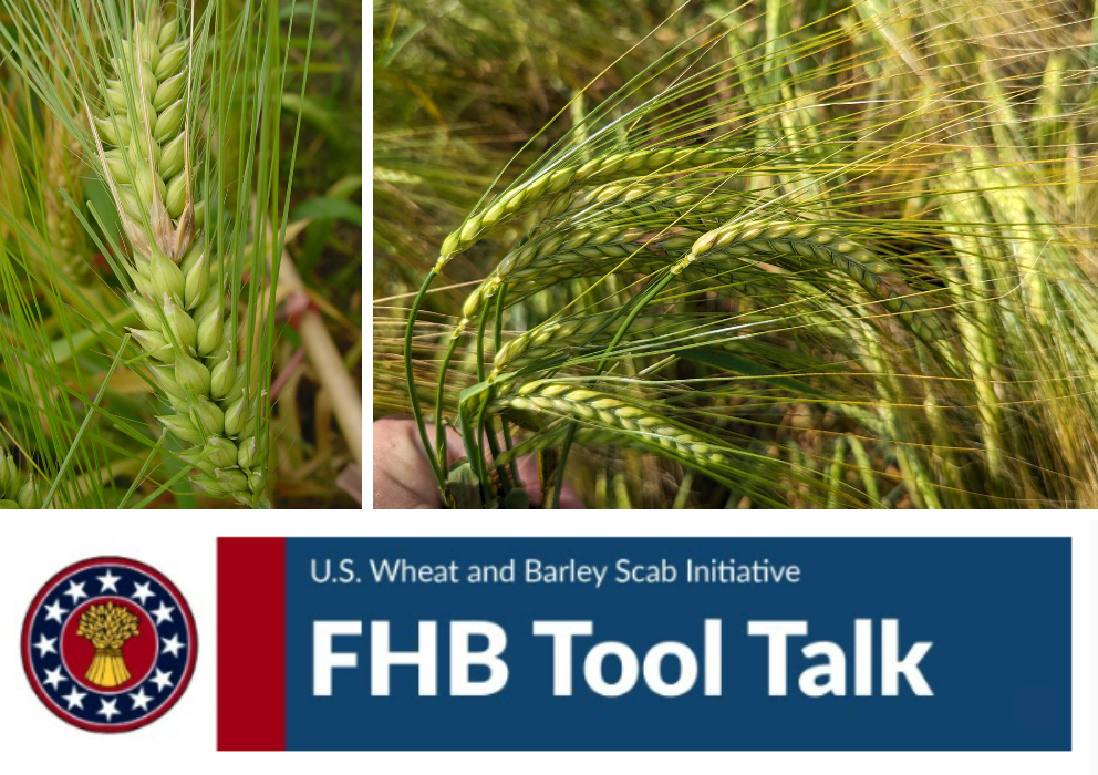 Resources on Fungicides for FHB